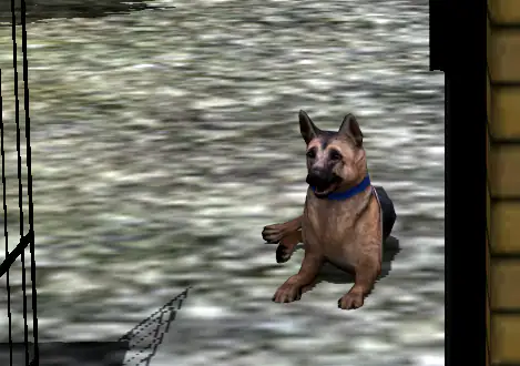 Zoom_Toutou Plugin 2 EEP17, scène avec zoom sur Berger Allemand